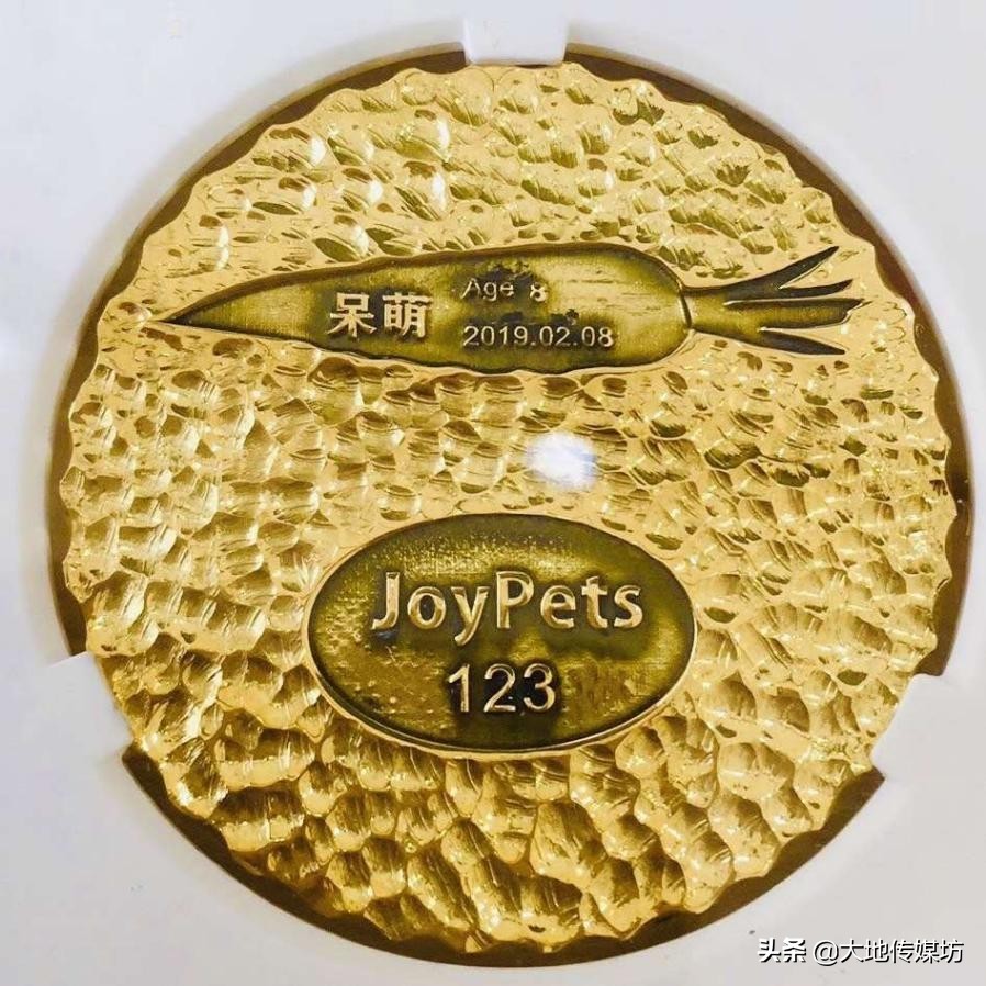 关于宠物殡葬的市场痛点,国内宠物殡葬行业真实现状