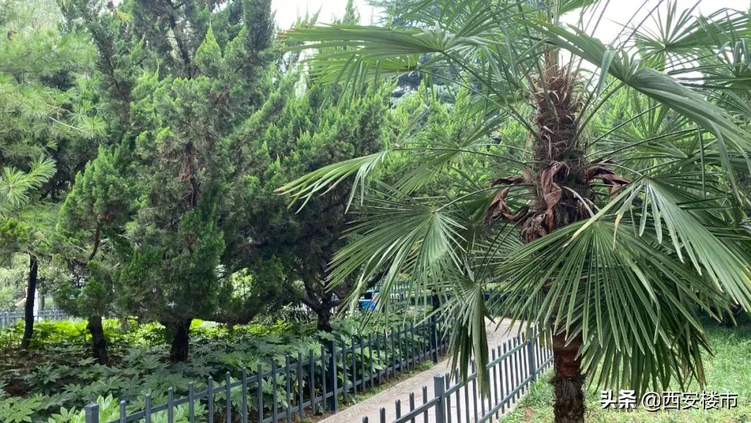 海亮德文郡一期二手房怎么样,海亮德文郡最新成交价