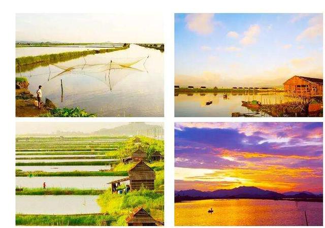 开往春天的广东列车,开往春天的列车是开往哪的