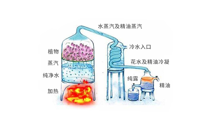 养猫咪点蚊香猫会中毒吗,猫咪蚊香对猫的危害