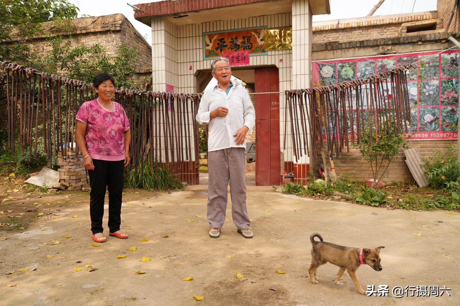 老人拐杖实木原木老年拐棍,纯手工制作实木拐杖批发
