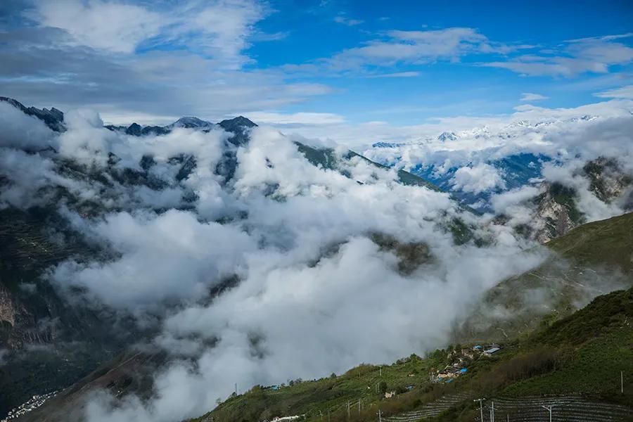 山中无别事目及尽青山,山中无别事的诗句