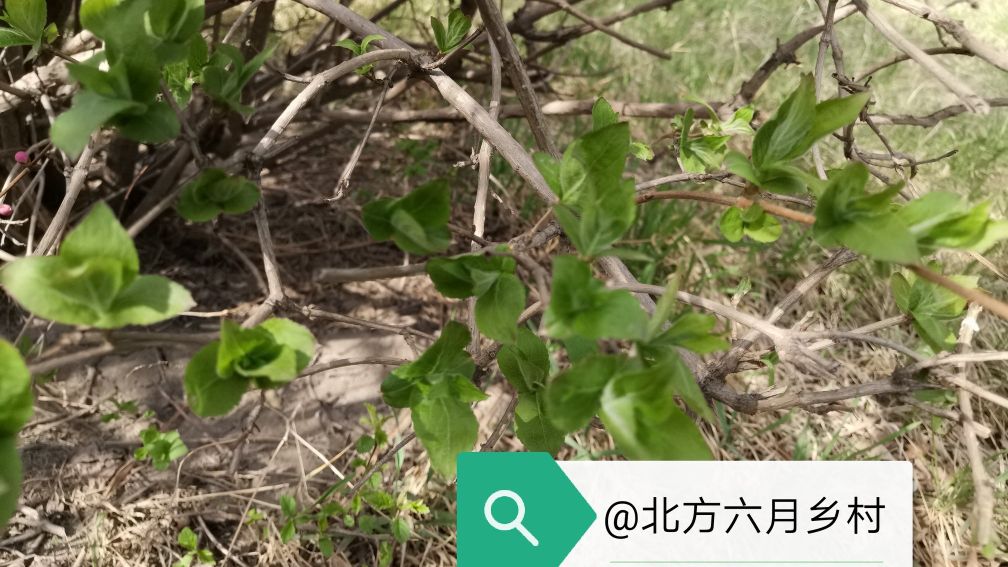 婆媳月子仇完整版,为什么月子仇这么难以释怀