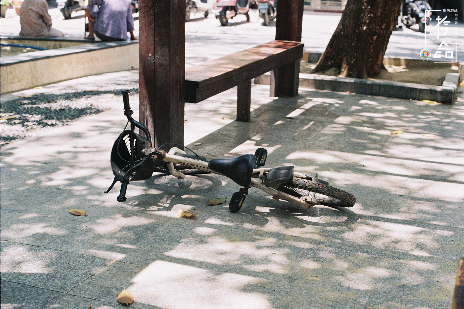 重庆人把自行车当作玩具，在滨江路和奥体中心，体验过租来的快乐