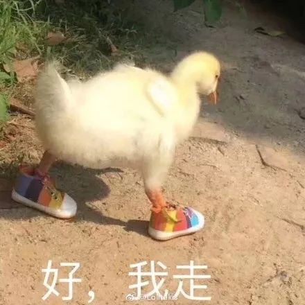 在天猫交了1万智商税，电商老司机感慨：现在网购太难了