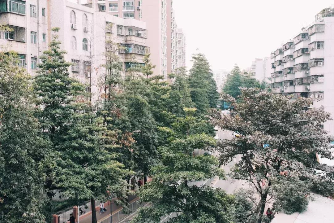 在福田区下梅林生活体验好吗,下梅林晚上适合去的地方