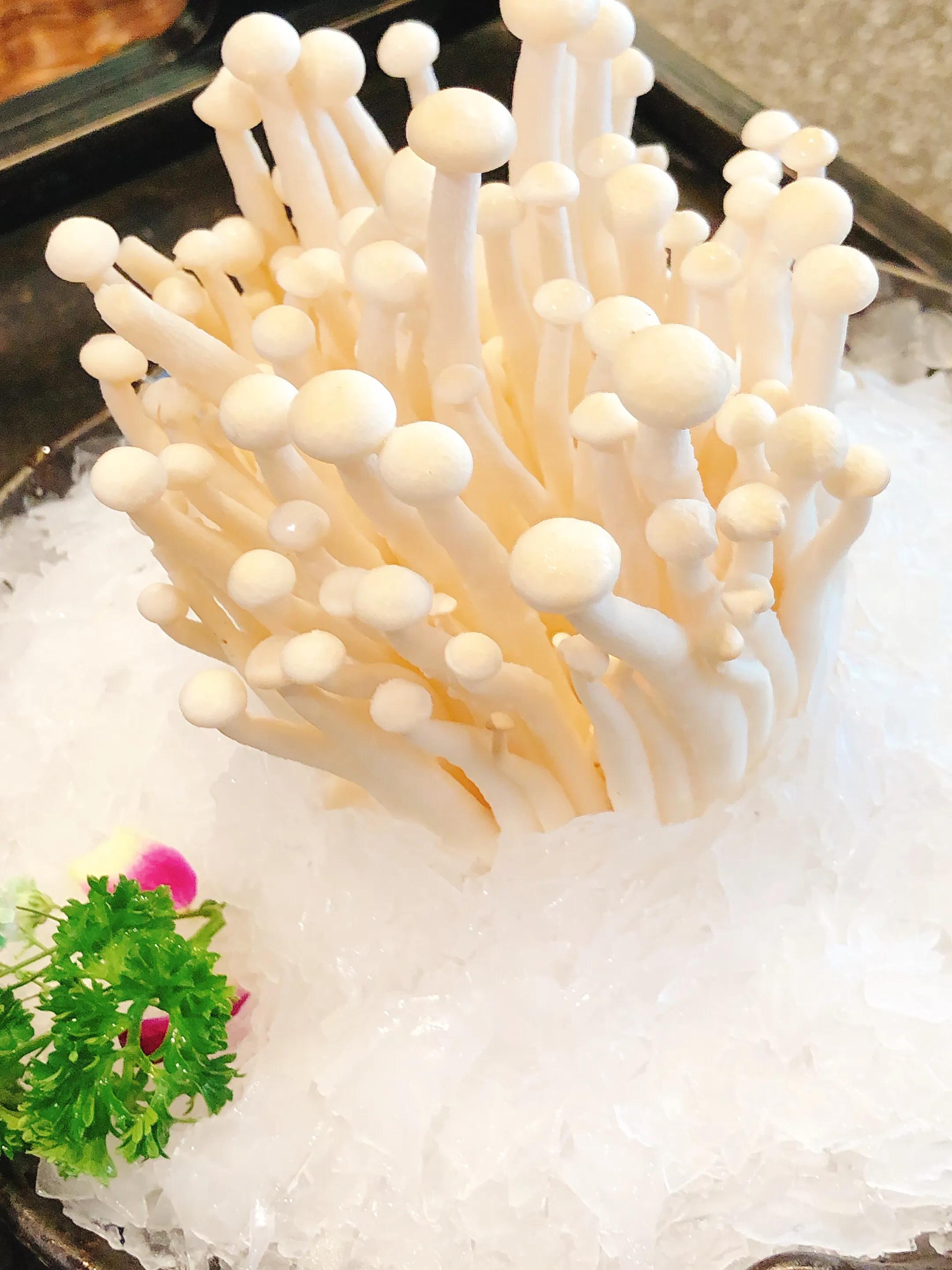 大连探店|郑恺掌柜的火凤翔鲜货火锅商行