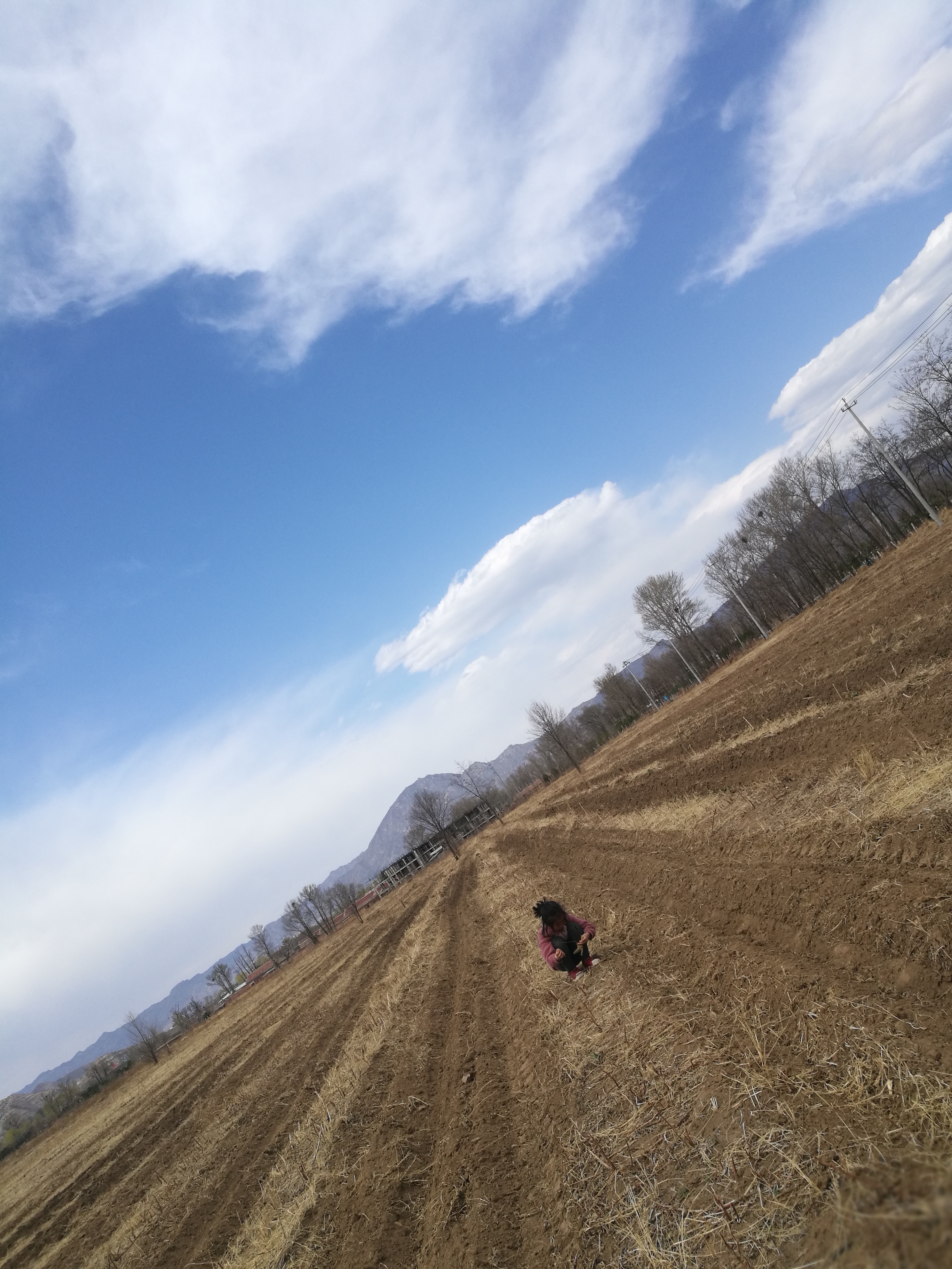 龙泉慈心农场,我为什么带孩子去斐济