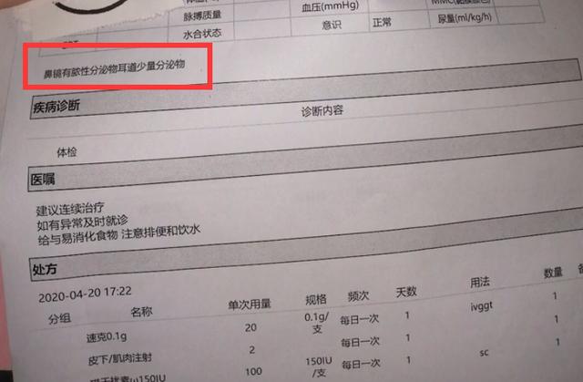 1000买猫，6000医，当你准备养猫时，坑就已经挖好了