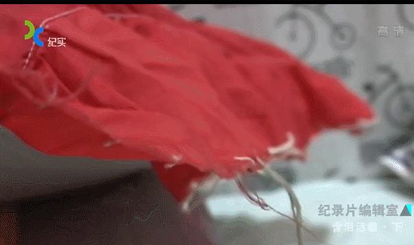 中国黑户纪录片,1998年中国扫黄纪录片