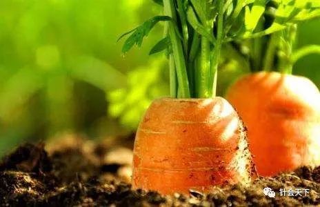 口罩和疫苗重要吗,口罩灭菌的有危害吗