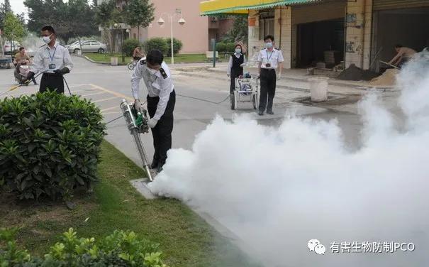 如何消灭蟑螂最有效的办法,怎么消灭蟑螂才是最好的方法