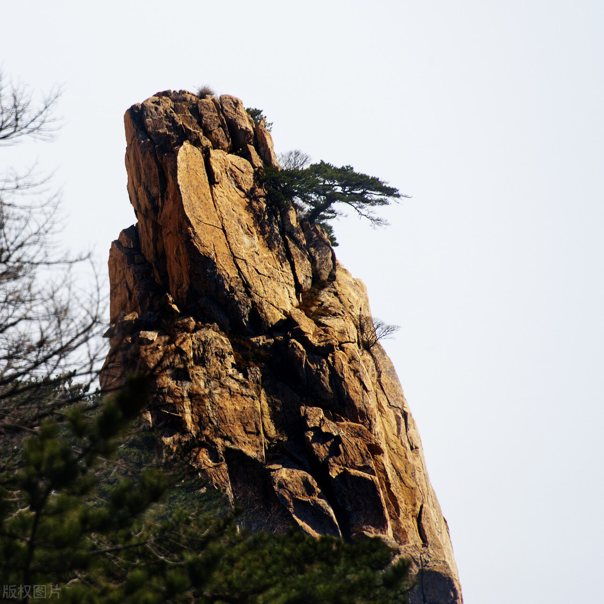 登上泰山极顶看日出,泰山极顶完整版