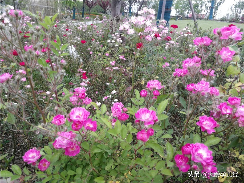 3个月养成睡眠好习惯,怎样给宝宝养成好的睡眠习惯