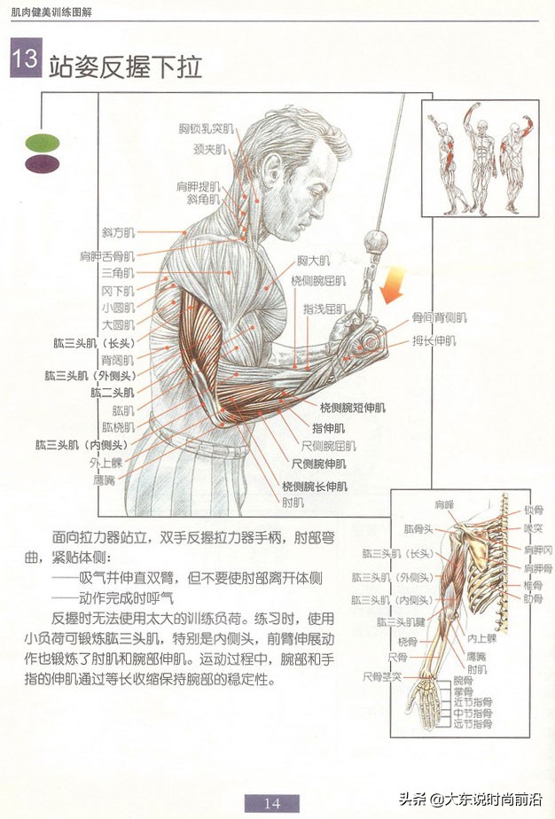 减脂午餐一周安排表,减脂健身计划一周表图