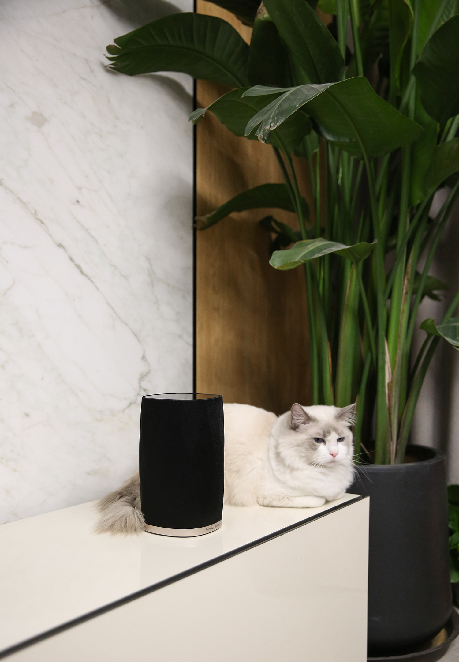 b&w音箱入门级,bw入门级hifi音箱