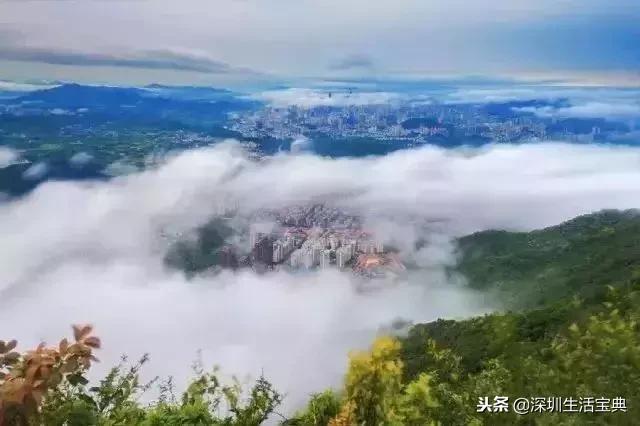 深圳还属于世界一线弱城市吗,深圳一线城市