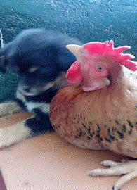 “你太低估了我的脚气，不知道还有没有救？”年轻总要付出代价