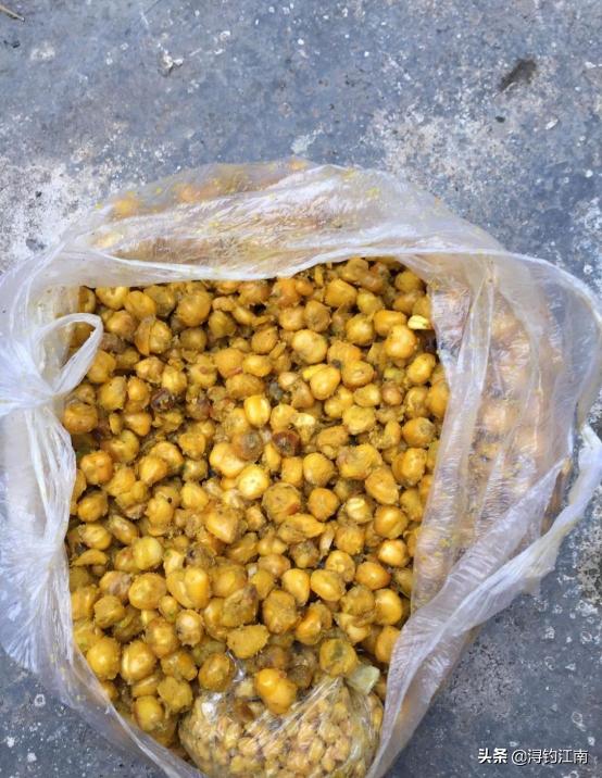 冬季钓大鱼用玉米可以吗,冬季钓大鱼用玉米好吗