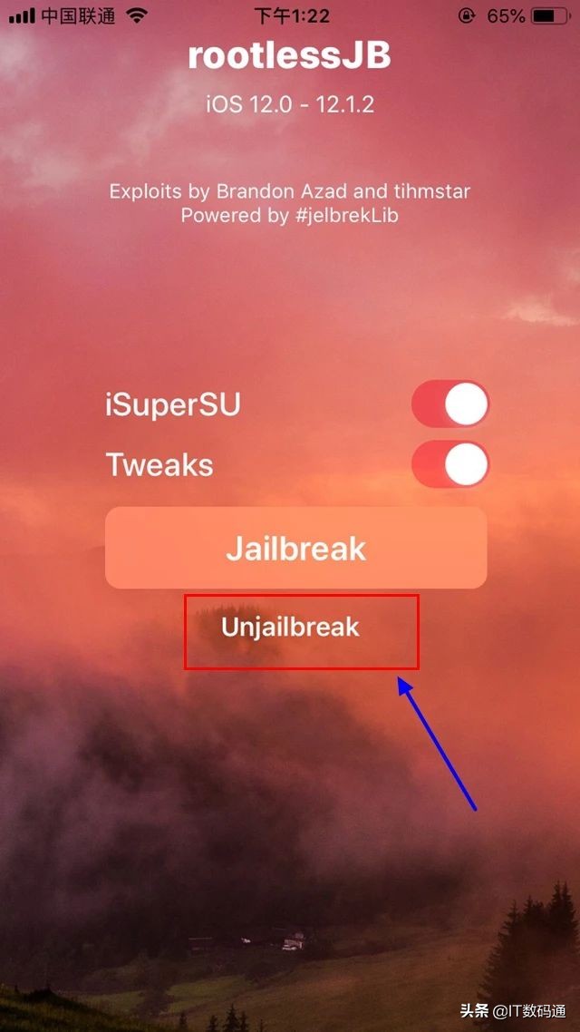 iphone越狱教学ios12.5.1,ios新手入门攻略