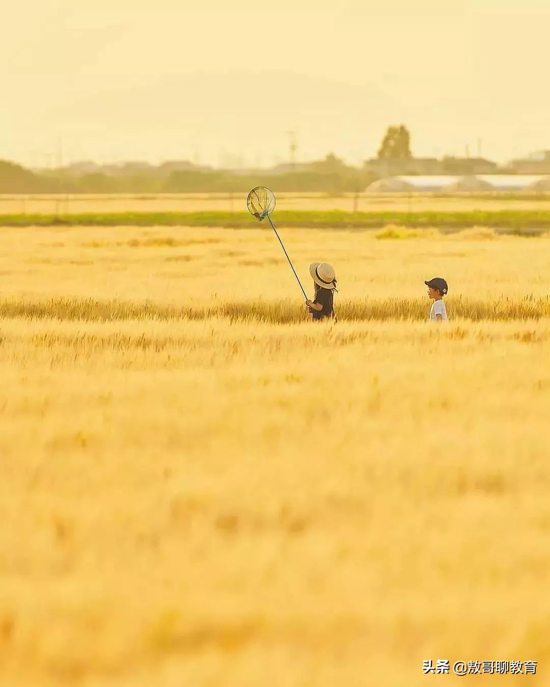 过度晒娃被人烦,如何理性晒娃,这六点是解决问题的关键