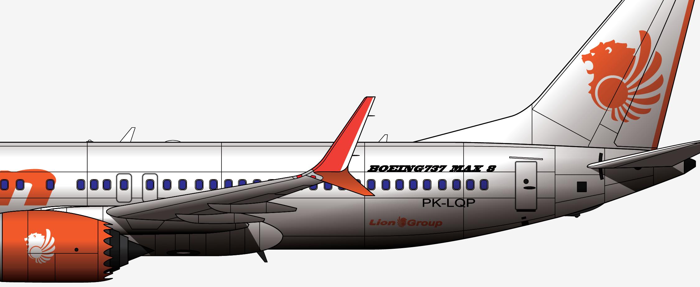 737max8狮子,737max8客机视频