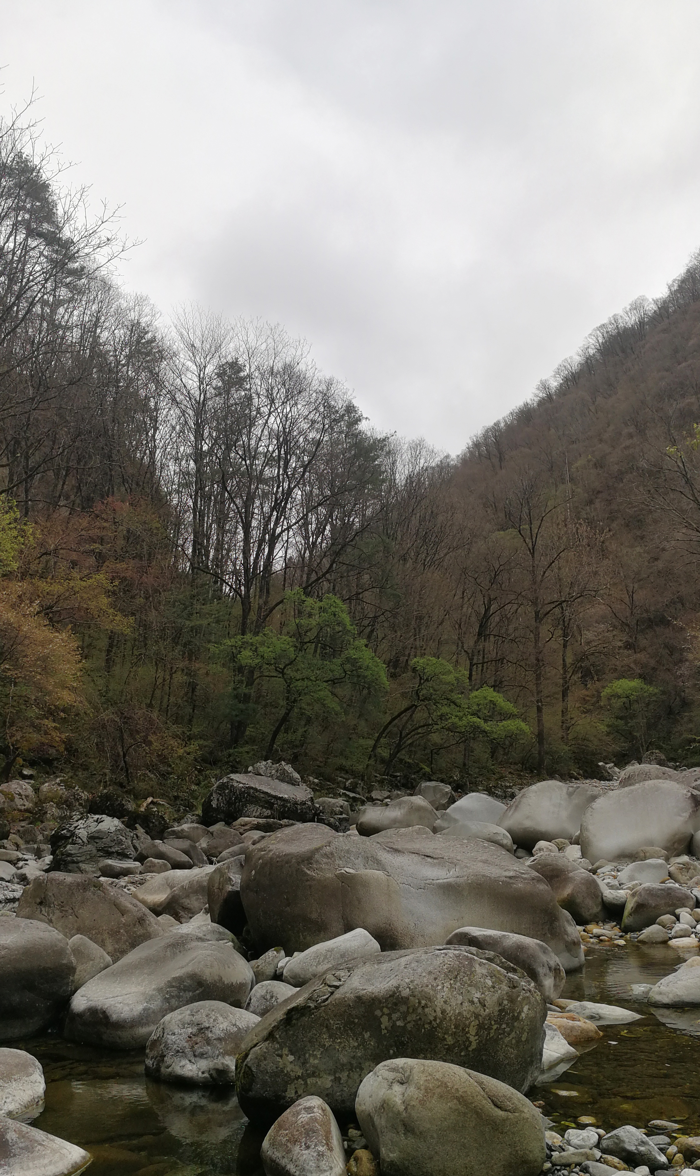 西安周至踏青赏花的路线攻略,周至老县城旅游攻略