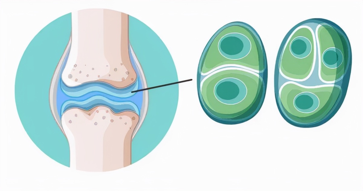 雏鸡跛脚是什么原因,雏鸡勾脖子蹲腿是什么病