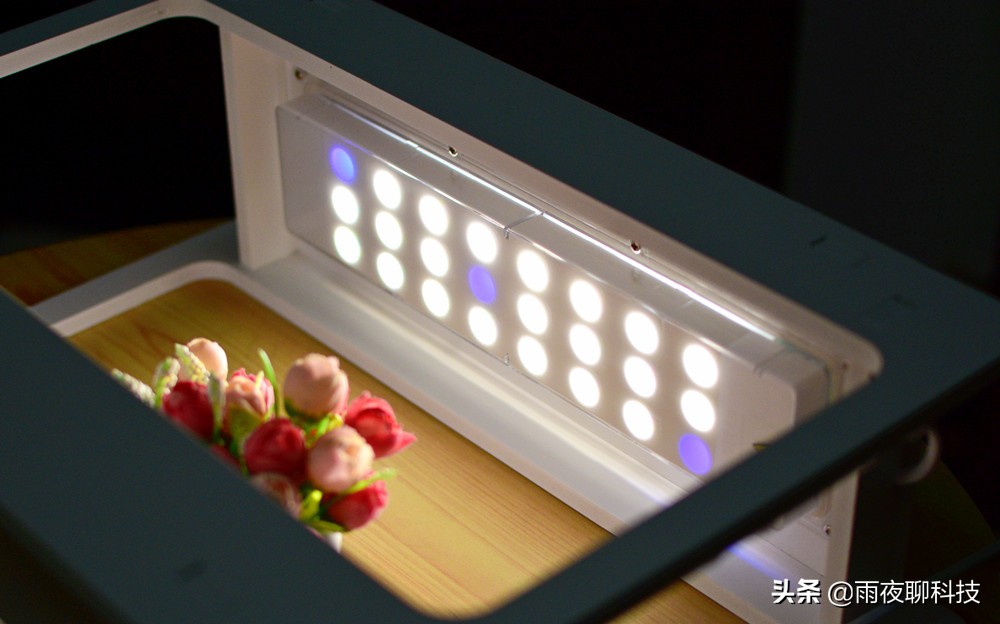 LED种植机体验：黑科技光谱养花，家里的多肉有救了