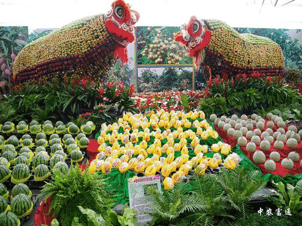 鍥壓鐤楁硶浠嬬粛,鍥壓鐤楁硶鐨勫垱鏂板強鐗圭偣