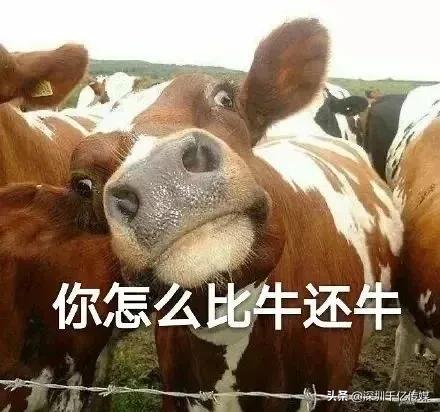 2021年十大词汇热词,2021年流行的网络热词有哪些