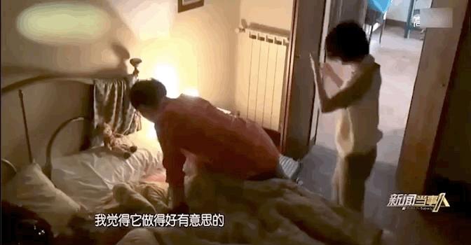 华晨宇张碧晨事件与汪峰关系,张碧晨华晨宇邓紫棋恋情如何开始