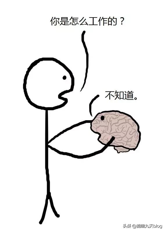 人类大脑如何超越人工智能,人类的出路在于将自身升级为神