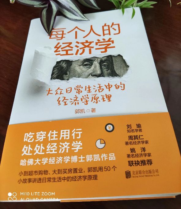 经济学十大原理分析经济现象,每个人的经济学这本书怎么样