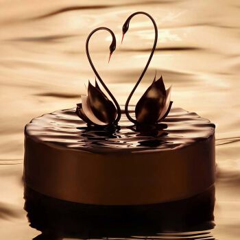 黑天鹅蛋糕价目表好吃吗,黑天鹅蛋糕好卖吗