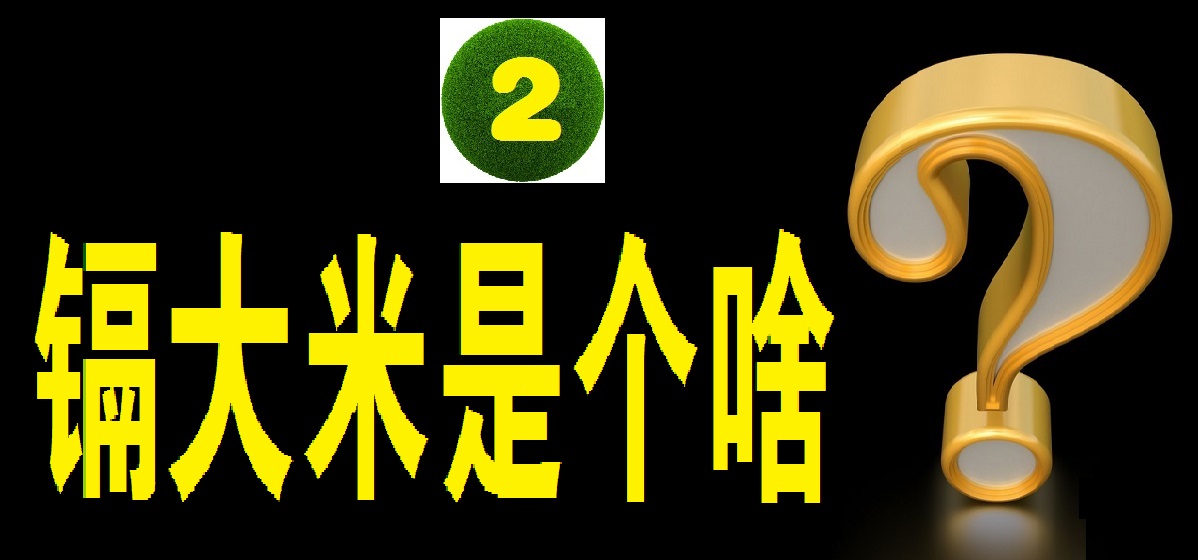 舌尖上的安全感悟,舌尖上的安全全册