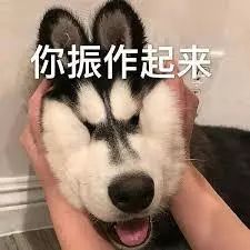 猖狂！华人代购店两月内被破门偷盗5次！10万刀货物被洗劫！店主崩溃：为什么没完没了