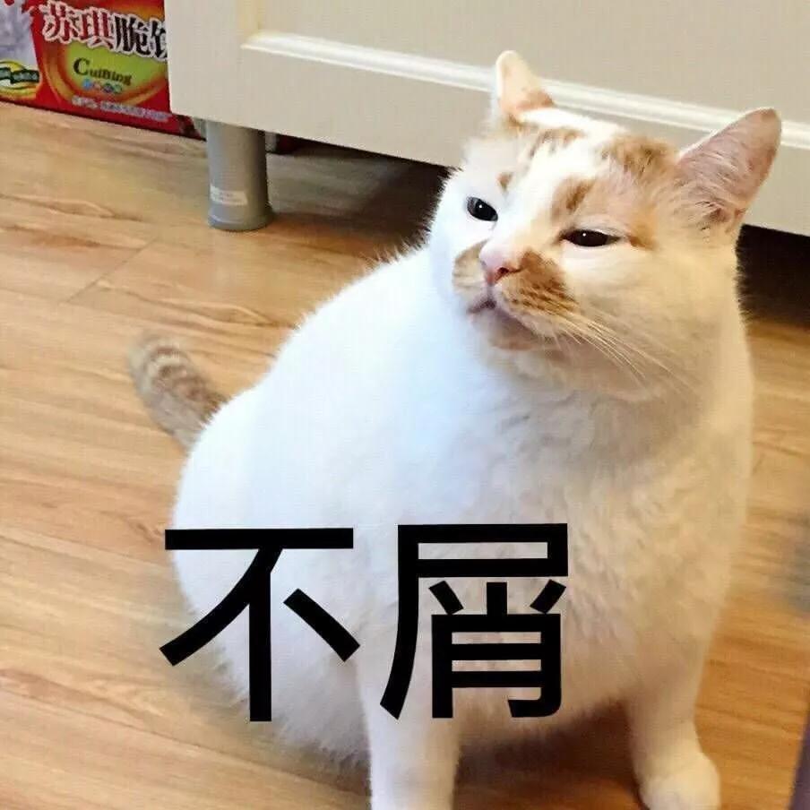 铲屎官常见问题,新手铲屎官发现猫咪拉肚子