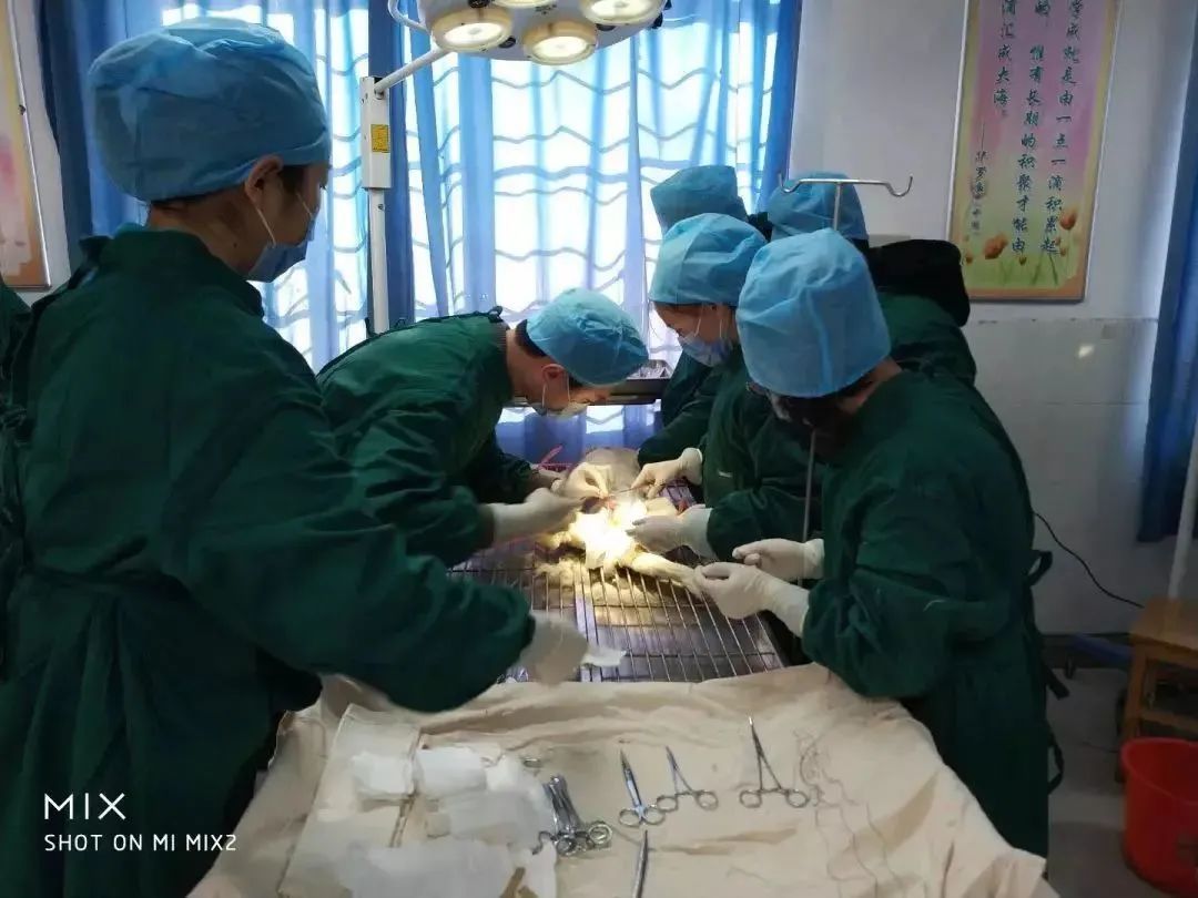 徐州生物工程职业学院2024年单招,徐州生物工程职业技术学院升本科