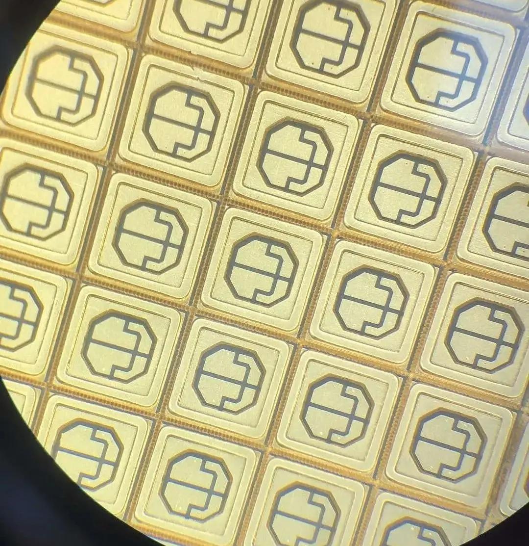 2022光博会展会时间表,2023光博会展会现场