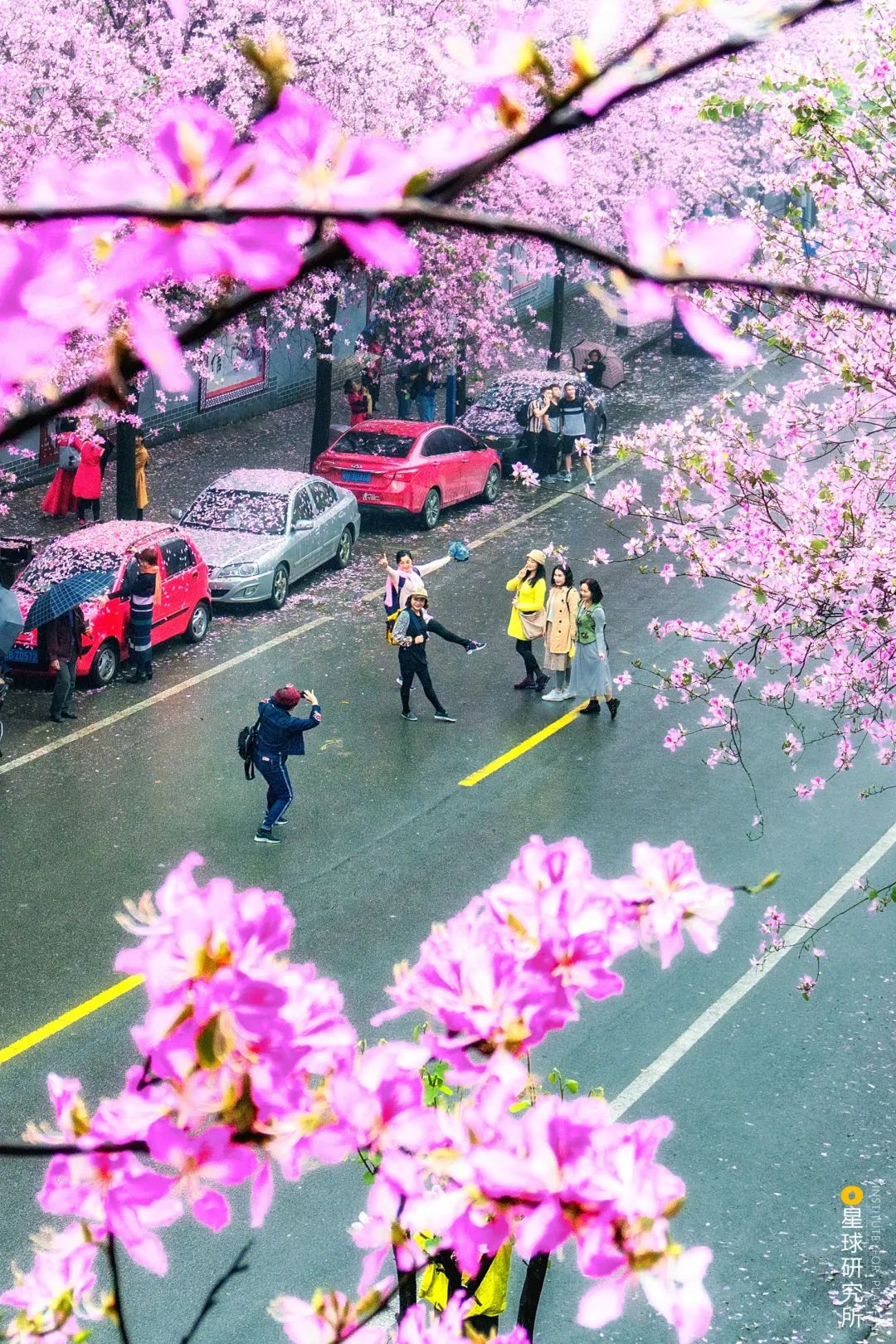 广西柳州除了螺蛳粉还有什么特产,广西柳州螺蛳粉视频