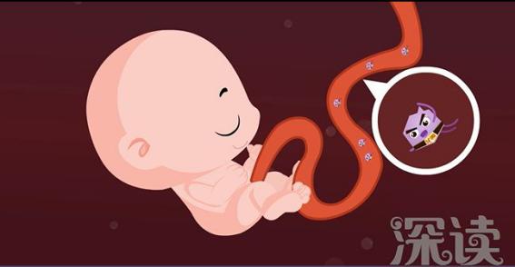 怀孕28周多查出甲亢需要治疗吗,得了甲亢可以带药怀孕吗