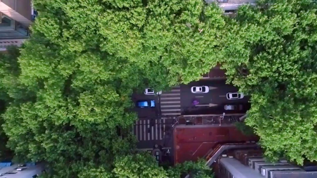 閮戝窞椋為笩瀹跺洯鍥剧墖澶у叏,閮戝窞椋為笩瀹跺洯椋庢櫙