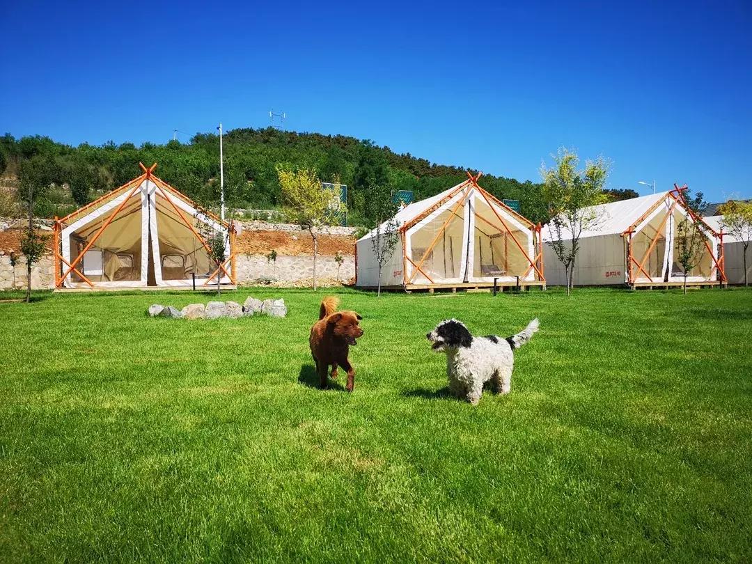 北京露营适合带孩子去的地方,北京亲子游必打卡的地方有哪些