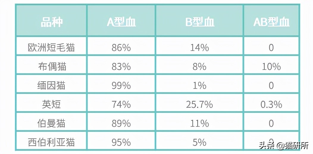 猫咪大部分是什么血型,猫咪的血型有哪几种