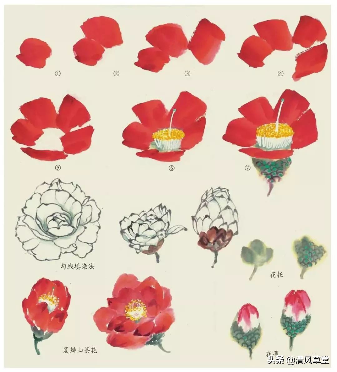 少儿国画花卉画法视频,各种花卉的100种画法