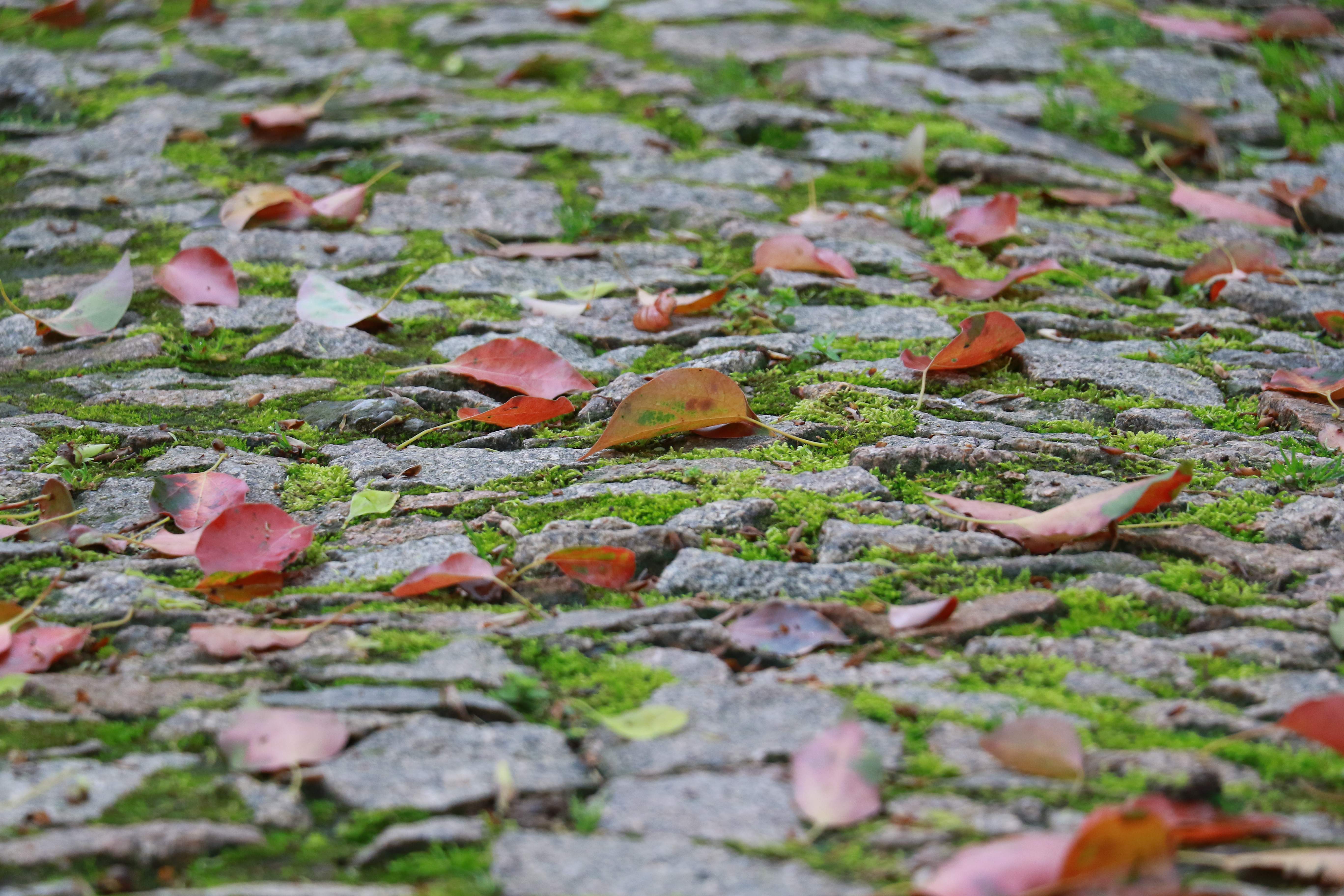 认识自己的内心,认识自己的精神世界