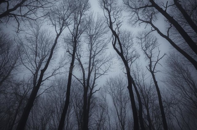 思念的声音震耳欲聋,隐约听到思念的声音