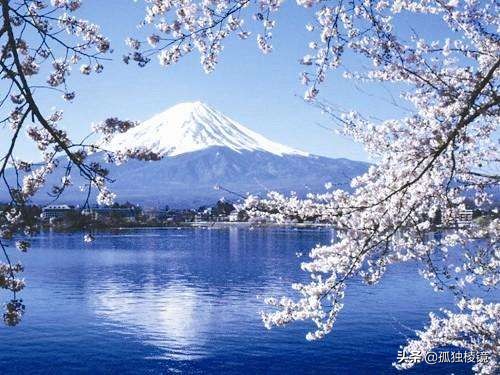 三分构图法与九宫格构图区别,拍摄构图如何精准构图手把手教你