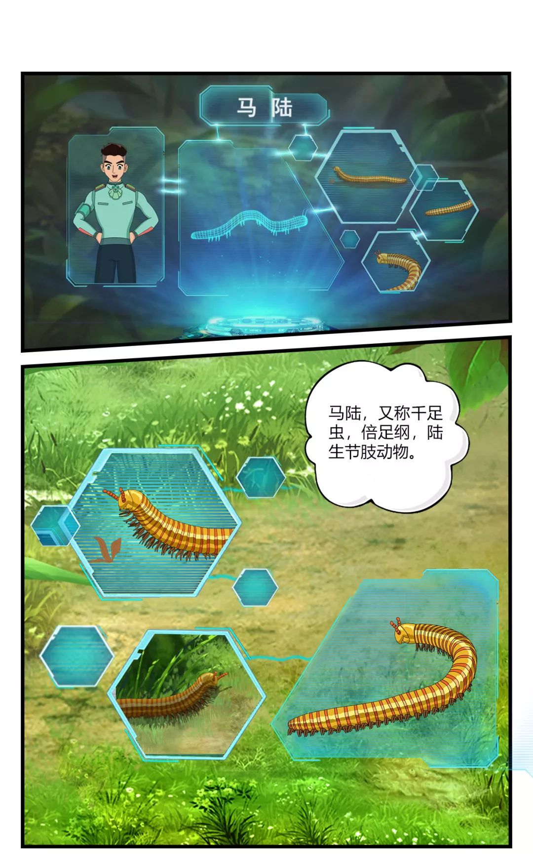 为什么鸟兽不爱吃马陆?